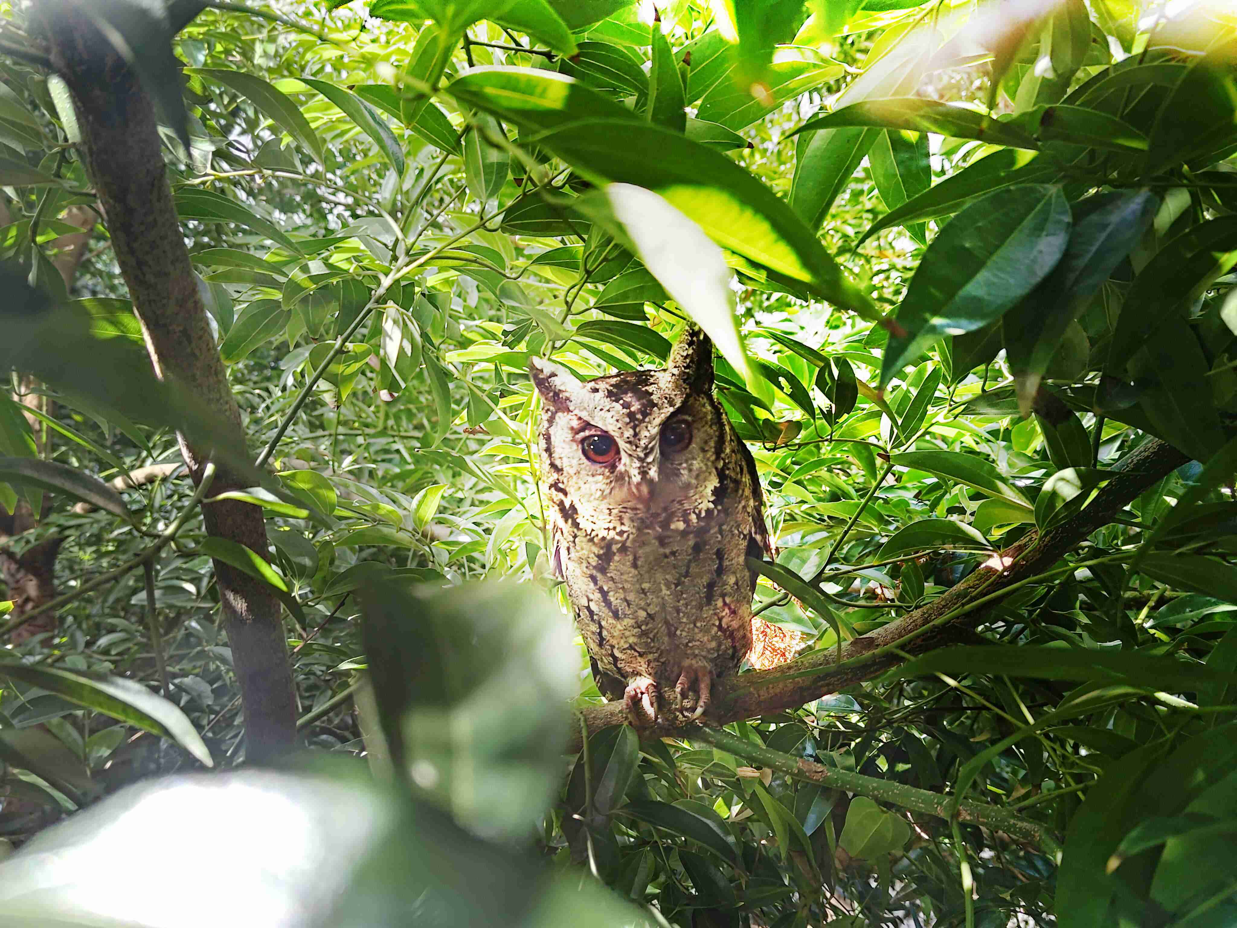 人生就是博致力提倡净零绿生活，，，，16年以来在全球各厂区植树逾百万棵，，造就各厂区树木蔚然成林，，，犹如森林工厂，，，成为许多生物的栖息地